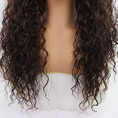 13x4 Free Part Brown Kinky Curly Lace Front Wigs