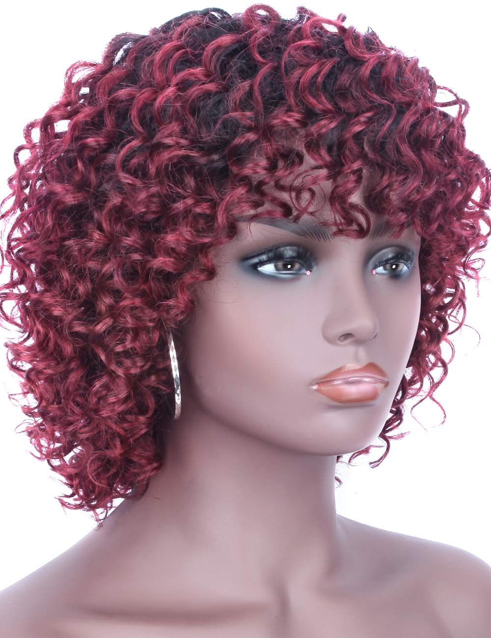 Kinky Curly Brazilian Human Hair Wigs
