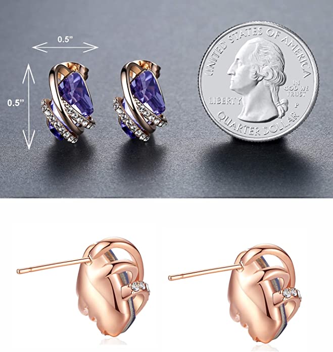 February Birthstone Rose Gold Earring