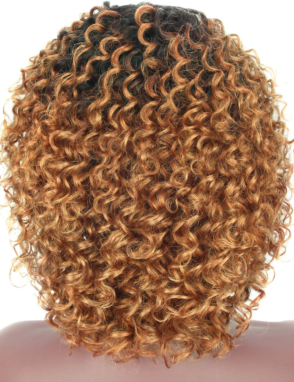 Ombre Black to Brown Human Hair Wig